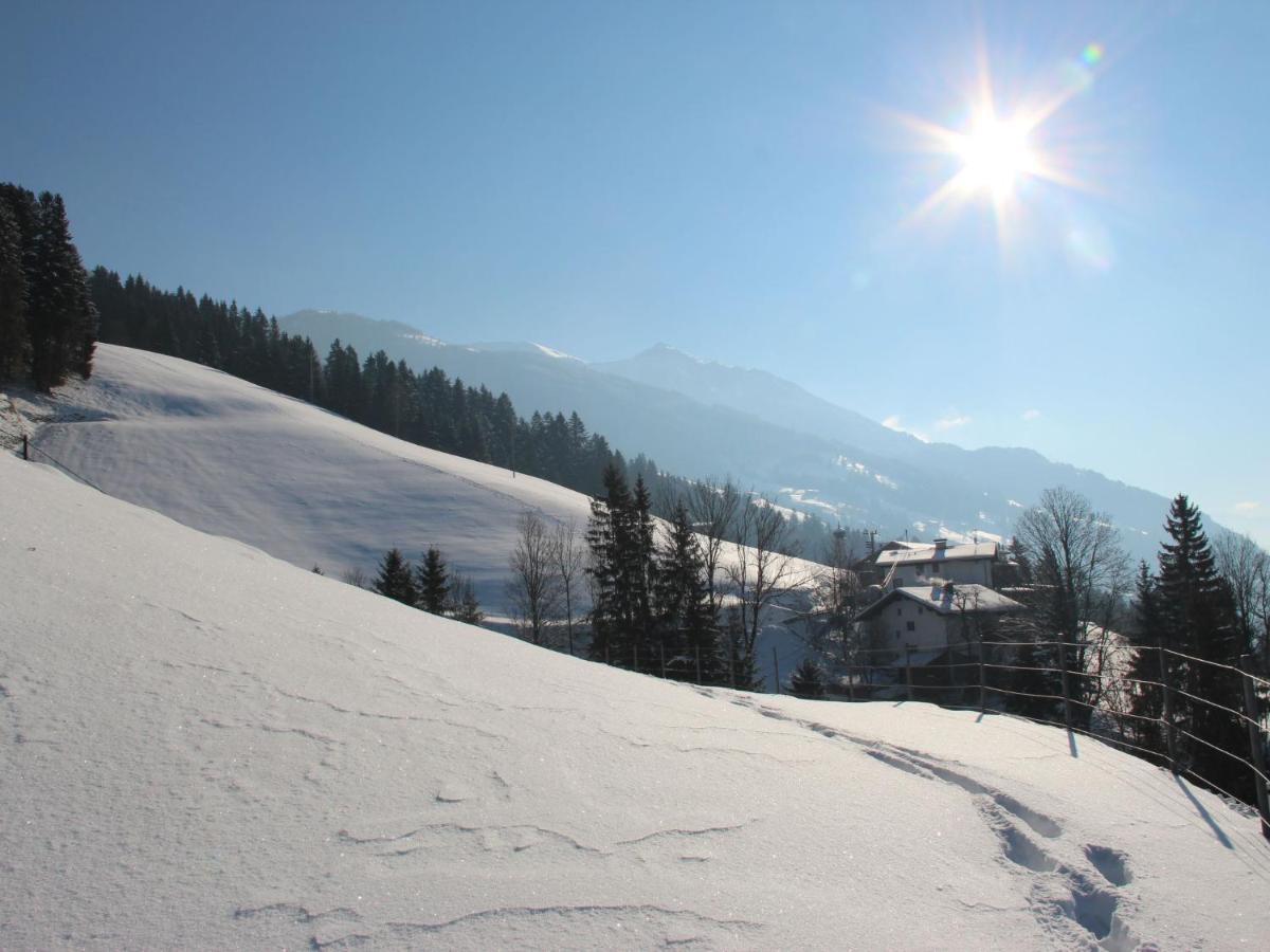 Apartment Michaela By Interhome Hart im Zillertal Esterno foto